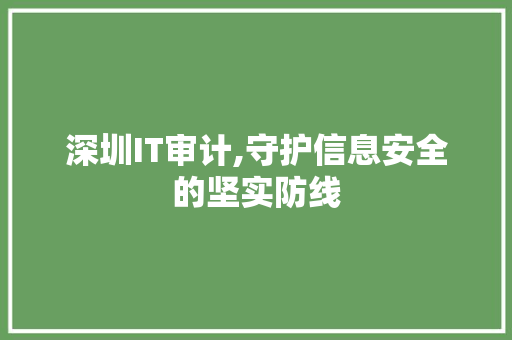 深圳IT审计,守护信息安全的坚实防线