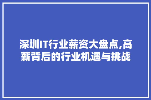 深圳IT行业薪资大盘点,高薪背后的行业机遇与挑战