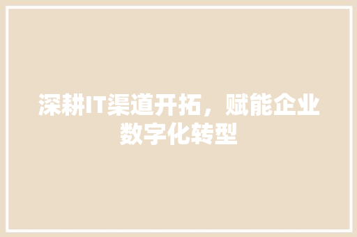深耕IT渠道开拓，赋能企业数字化转型