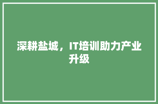 深耕盐城，IT培训助力产业升级 建站教程
