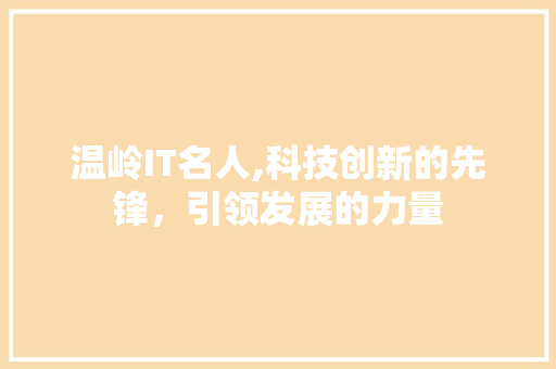 温岭IT名人,科技创新的先锋，引领发展的力量 建站教程