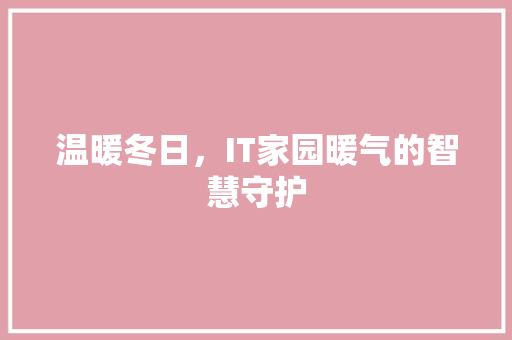 温暖冬日，IT家园暖气的智慧守护 Web前端