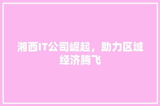 湘西IT公司崛起，助力区域经济腾飞
