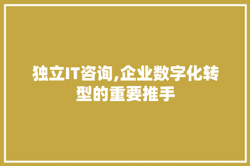 独立IT咨询,企业数字化转型的重要推手