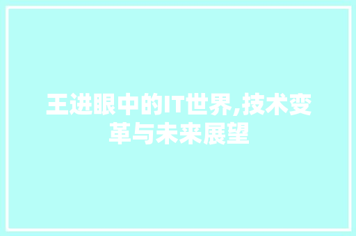 王进眼中的IT世界,技术变革与未来展望