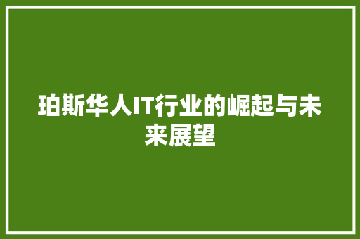 珀斯华人IT行业的崛起与未来展望