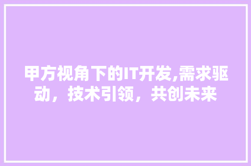 甲方视角下的IT开发,需求驱动，技术引领，共创未来 建站教程