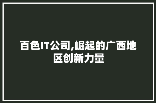 百色IT公司,崛起的广西地区创新力量 服务器/数据库