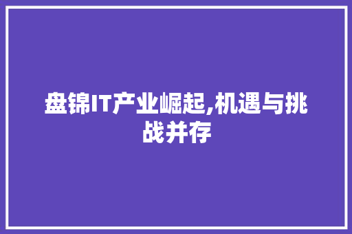 盘锦IT产业崛起,机遇与挑战并存 友链在线