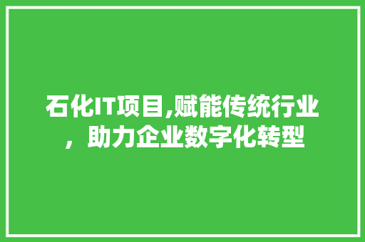 石化IT项目,赋能传统行业，助力企业数字化转型