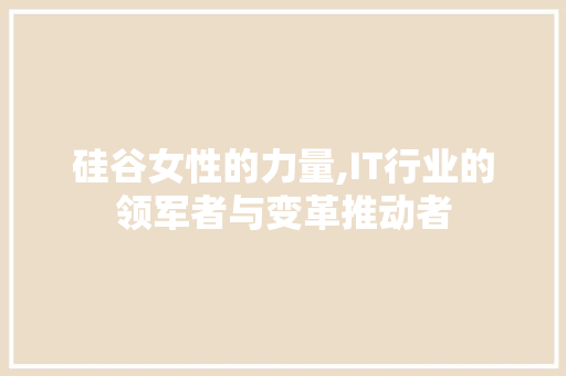 硅谷女性的力量,IT行业的领军者与变革推动者