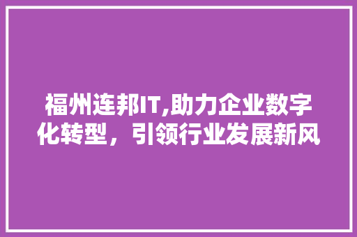 福州连邦IT,助力企业数字化转型，引领行业发展新风向