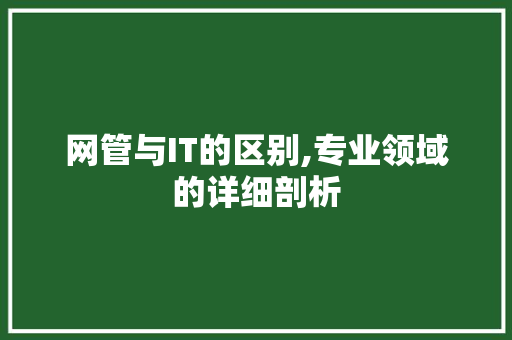网管与IT的区别,专业领域的详细剖析 友链在线