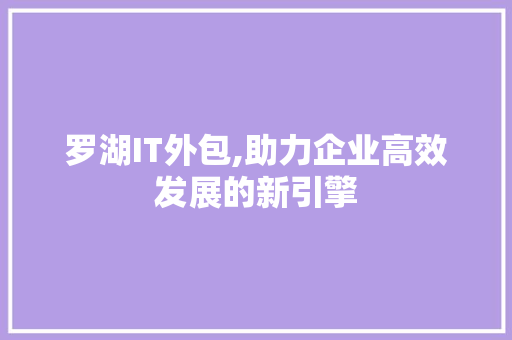 罗湖IT外包,助力企业高效发展的新引擎