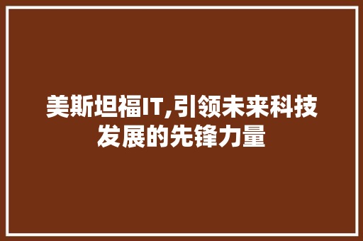 美斯坦福IT,引领未来科技发展的先锋力量