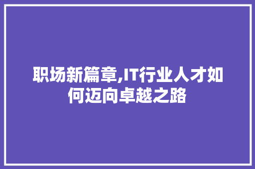 职场新篇章,IT行业人才如何迈向卓越之路