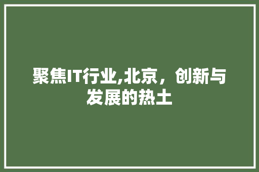 聚焦IT行业,北京，创新与发展的热土