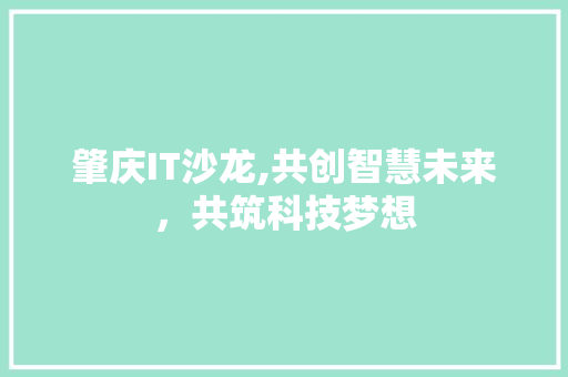 肇庆IT沙龙,共创智慧未来，共筑科技梦想