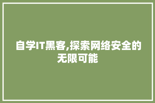自学IT黑客,探索网络安全的无限可能