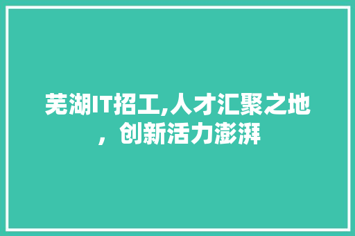 芜湖IT招工,人才汇聚之地，创新活力澎湃