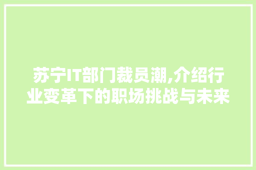 苏宁IT部门裁员潮,介绍行业变革下的职场挑战与未来趋势 友链在线