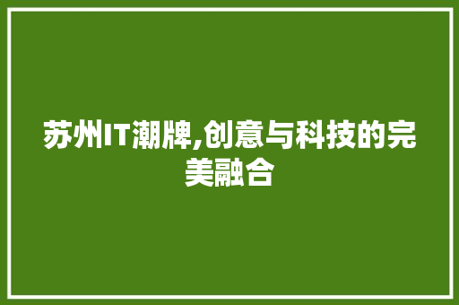 苏州IT潮牌,创意与科技的完美融合