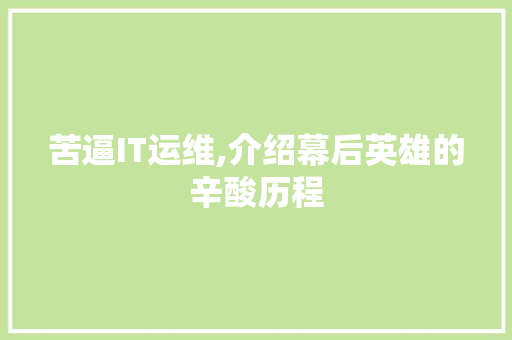 苦逼IT运维,介绍幕后英雄的辛酸历程 SEO教程