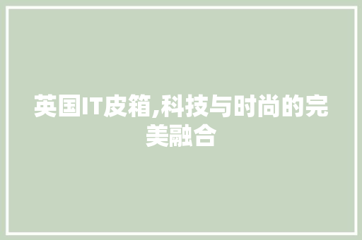 英国IT皮箱,科技与时尚的完美融合
