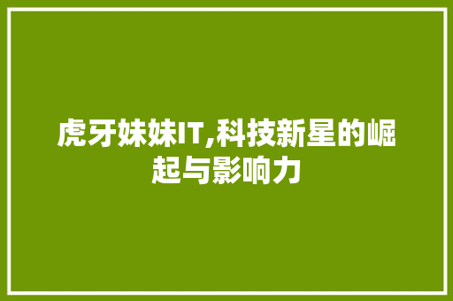 虎牙妹妹IT,科技新星的崛起与影响力