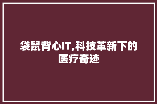 袋鼠背心IT,科技革新下的医疗奇迹