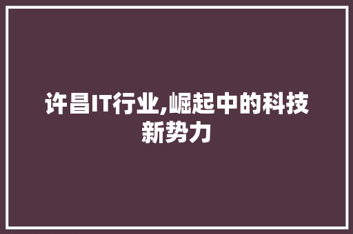 许昌IT行业,崛起中的科技新势力 SEO教程