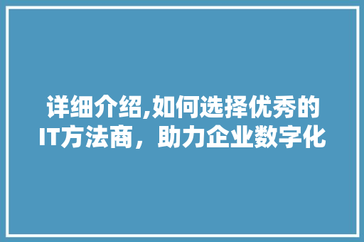 详细介绍,如何选择优秀的IT方法商，助力企业数字化转型 友链在线