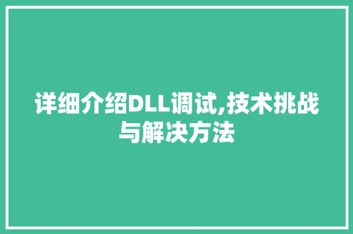 详细介绍DLL调试,技术挑战与解决方法