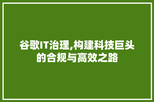 谷歌IT治理,构建科技巨头的合规与高效之路