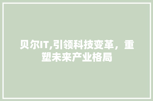 贝尔IT,引领科技变革，重塑未来产业格局