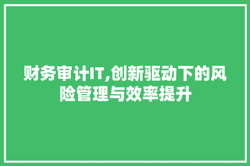 财务审计IT,创新驱动下的风险管理与效率提升