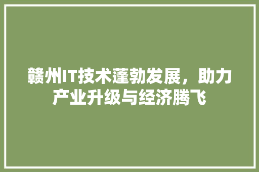 赣州IT技术蓬勃发展，助力产业升级与经济腾飞