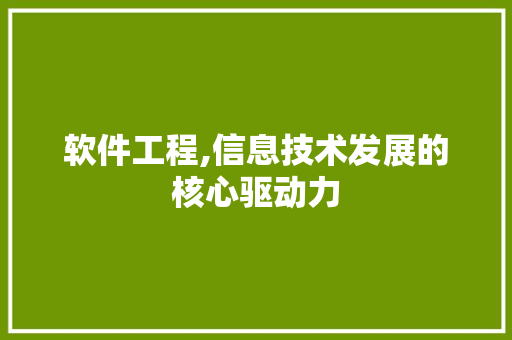 软件工程,信息技术发展的核心驱动力