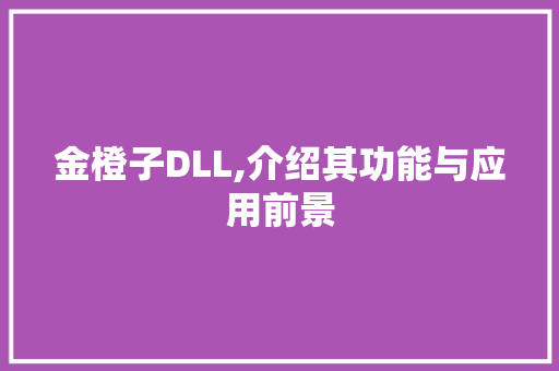 金橙子DLL,介绍其功能与应用前景 SEO教程