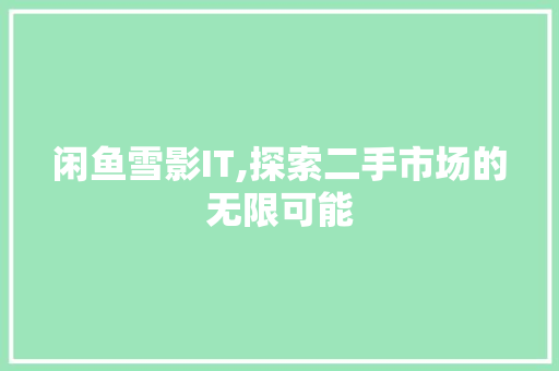 闲鱼雪影IT,探索二手市场的无限可能