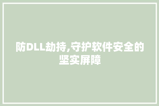 防DLL劫持,守护软件安全的坚实屏障 友链在线