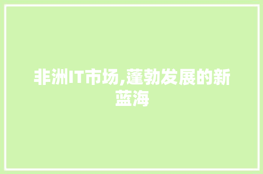 非洲IT市场,蓬勃发展的新蓝海