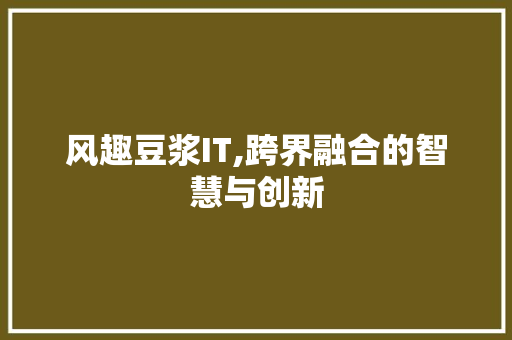 风趣豆浆IT,跨界融合的智慧与创新 SEO教程