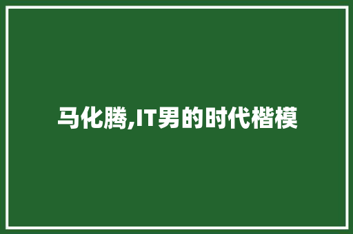 马化腾,IT男的时代楷模