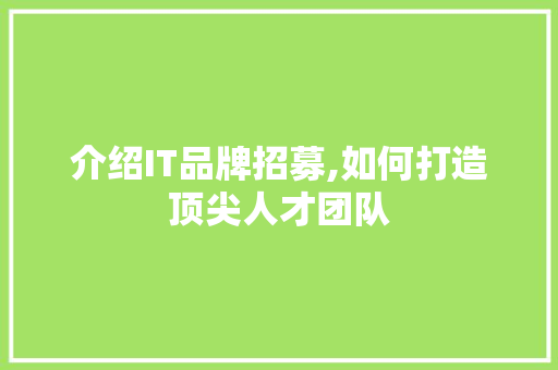 介绍IT品牌招募,如何打造顶尖人才团队
