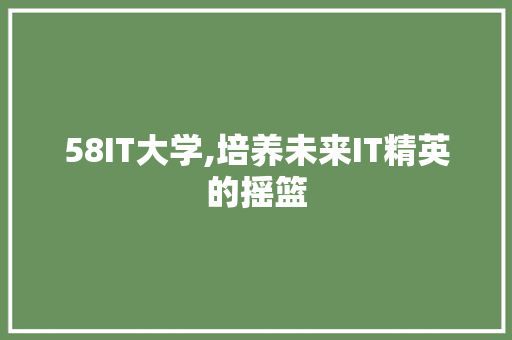 58IT大学,培养未来IT精英的摇篮 SEO教程