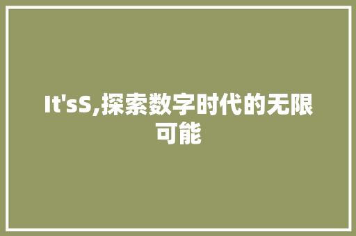 It'sS,探索数字时代的无限可能 WordPress教程