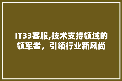 IT33客服,技术支持领域的领军者，引领行业新风尚 建站教程