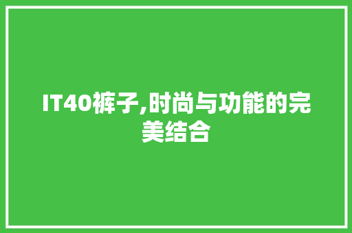 IT40裤子,时尚与功能的完美结合 友链在线