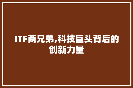 ITF两兄弟,科技巨头背后的创新力量 WordPress教程